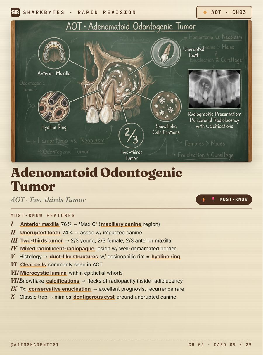 Adenomatoid odontogenic tumor card
